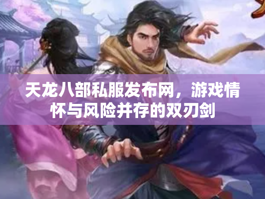 天龙八部私服发布网，游戏情怀与风险并存的双刃剑