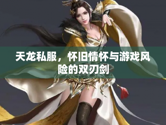 天龙私服，怀旧情怀与游戏风险的双刃剑