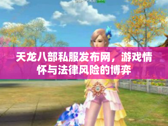 天龙八部私服发布网，游戏情怀与法律风险的博弈