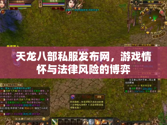 天龙八部私服发布网，游戏情怀与法律风险的博弈