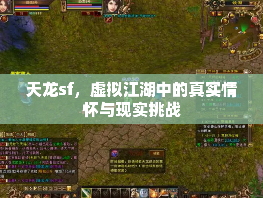 天龙sf，虚拟江湖中的真实情怀与现实挑战