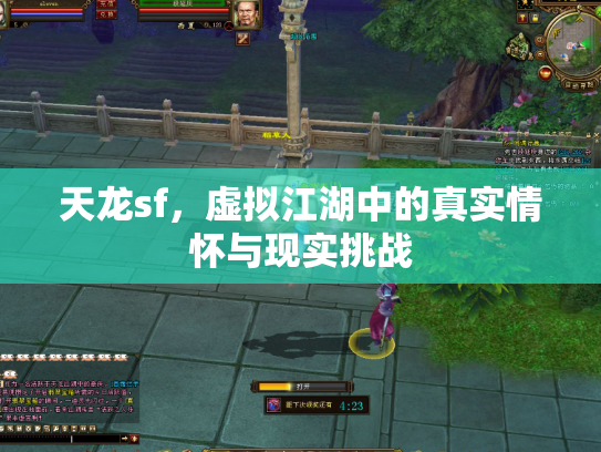 天龙sf，虚拟江湖中的真实情怀与现实挑战