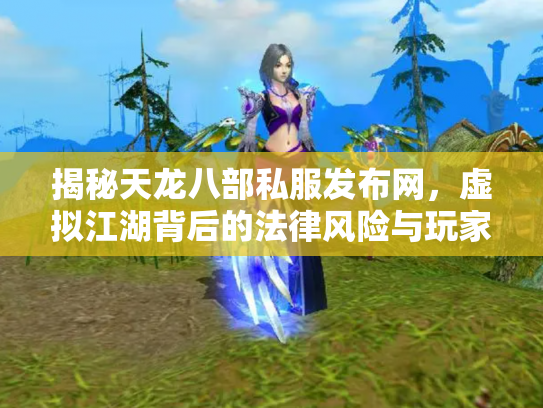 揭秘天龙八部私服发布网，虚拟江湖背后的法律风险与玩家困境