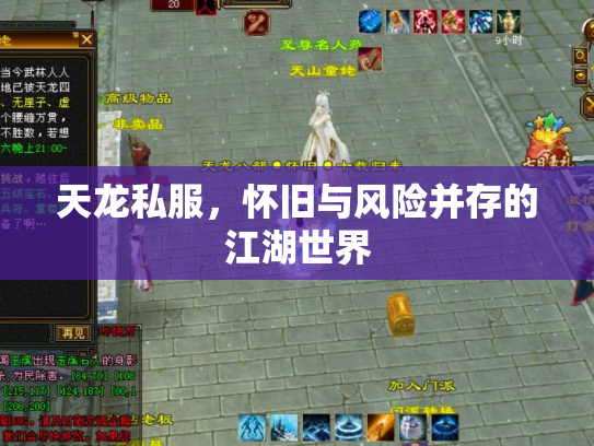 天龙私服，怀旧与风险并存的江湖世界