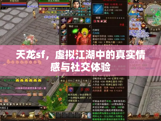 天龙sf，虚拟江湖中的真实情感与社交体验