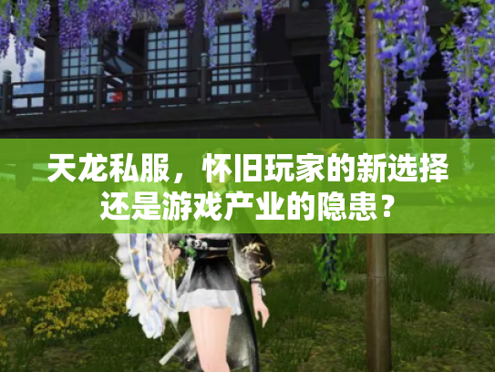 天龙私服，怀旧玩家的新选择还是游戏产业的隐患？