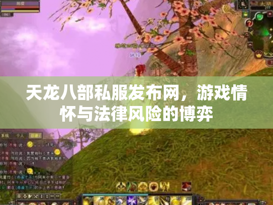 天龙八部私服发布网，游戏情怀与法律风险的博弈
