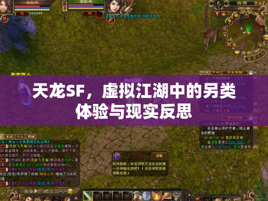 天龙SF，虚拟江湖中的另类体验与现实反思