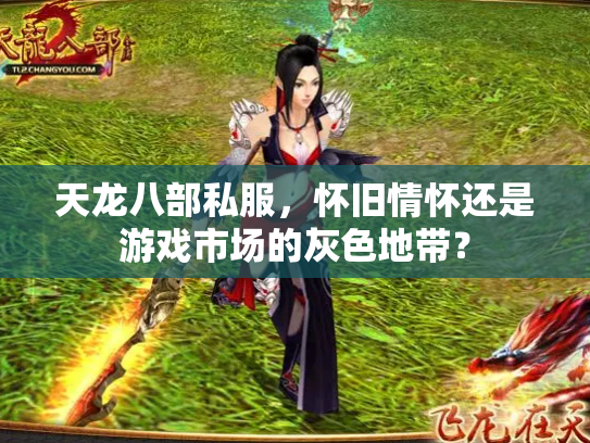 天龙八部私服，怀旧情怀还是游戏市场的灰色地带？