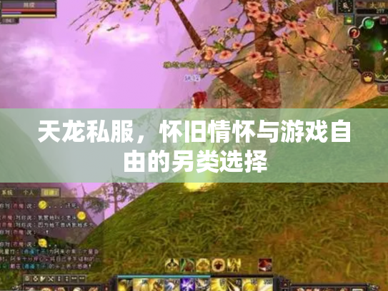 天龙私服，怀旧情怀与游戏自由的另类选择
