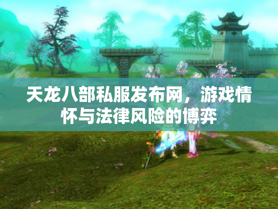 天龙八部私服发布网，游戏情怀与法律风险的博弈
