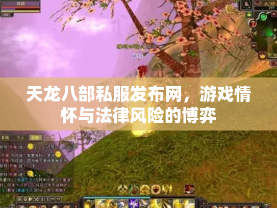 天龙八部私服发布网，游戏情怀与法律风险的博弈