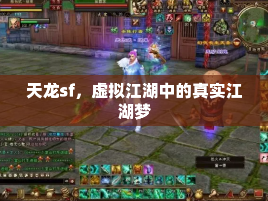 天龙sf，虚拟江湖中的真实江湖梦