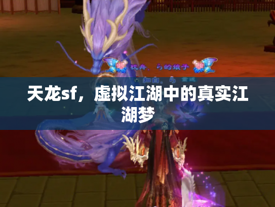 天龙sf，虚拟江湖中的真实江湖梦