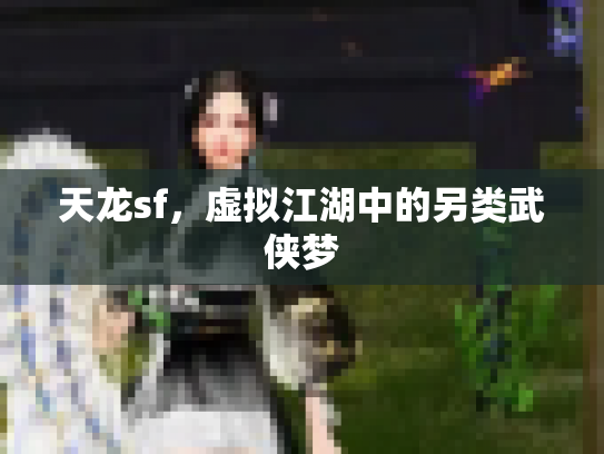 天龙sf，虚拟江湖中的另类武侠梦
