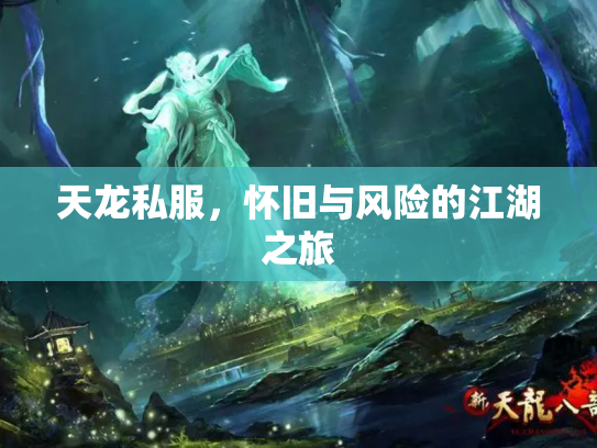 天龙私服，怀旧与风险的江湖之旅