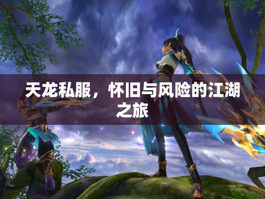 天龙私服，怀旧与风险的江湖之旅
