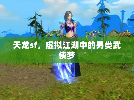 天龙sf，虚拟江湖中的另类武侠梦