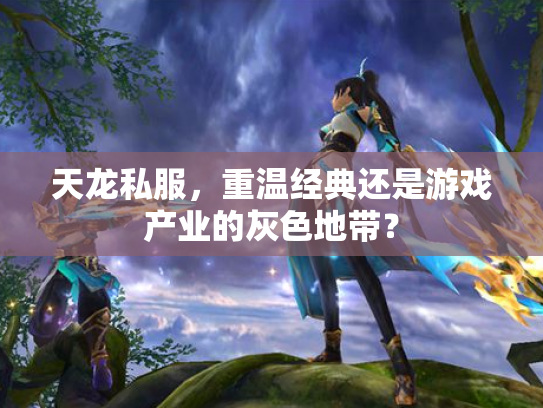 天龙私服，重温经典还是游戏产业的灰色地带？