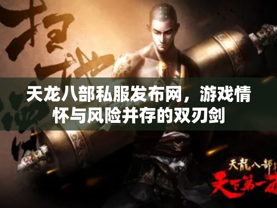 天龙八部私服发布网，游戏情怀与风险并存的双刃剑