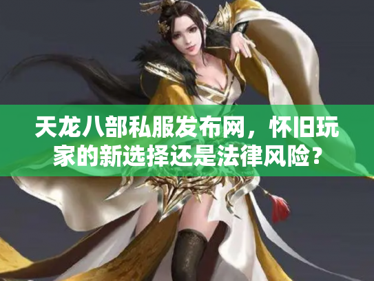 天龙八部私服发布网，怀旧玩家的新选择还是法律风险？
