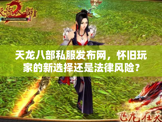 天龙八部私服发布网，怀旧玩家的新选择还是法律风险？