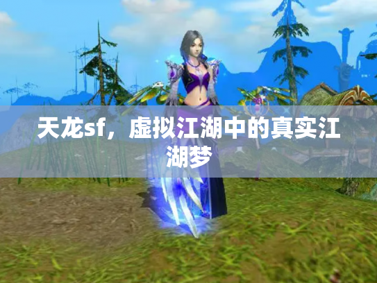 天龙sf，虚拟江湖中的真实江湖梦