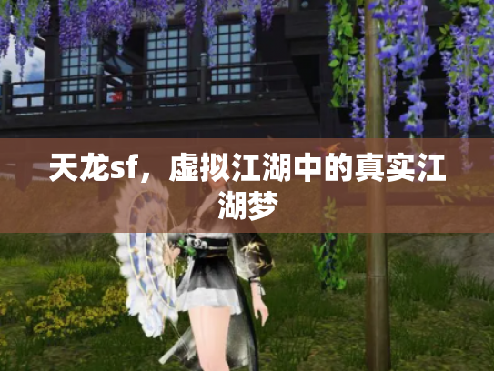 天龙sf，虚拟江湖中的真实江湖梦