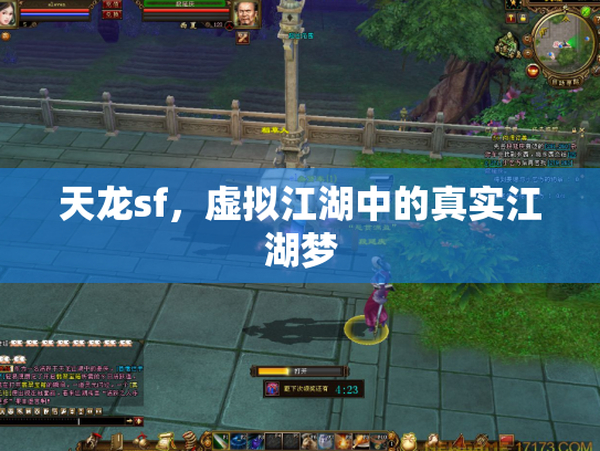 天龙sf，虚拟江湖中的真实江湖梦
