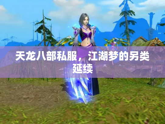 天龙八部私服，江湖梦的另类延续