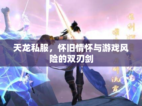 天龙私服，怀旧情怀与游戏风险的双刃剑