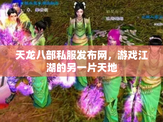 天龙八部私服发布网，游戏江湖的另一片天地
