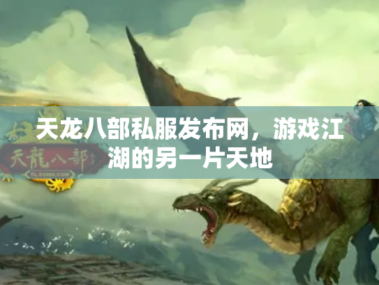 天龙八部私服发布网，游戏江湖的另一片天地