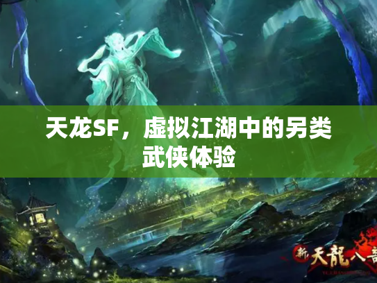 天龙SF，虚拟江湖中的另类武侠体验