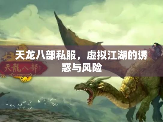 天龙八部私服，虚拟江湖的诱惑与风险