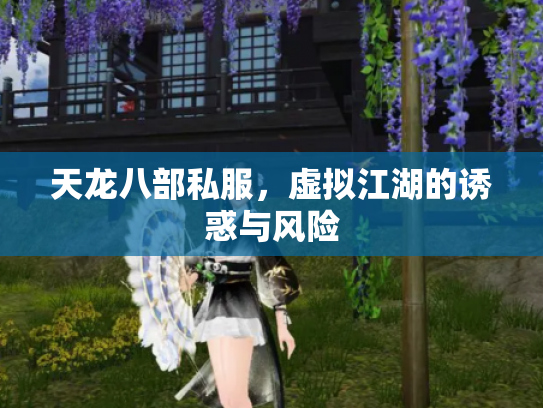 天龙八部私服，虚拟江湖的诱惑与风险
