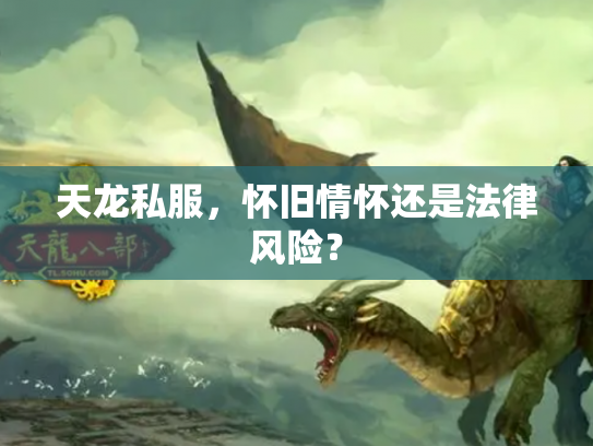天龙私服，怀旧情怀还是法律风险？