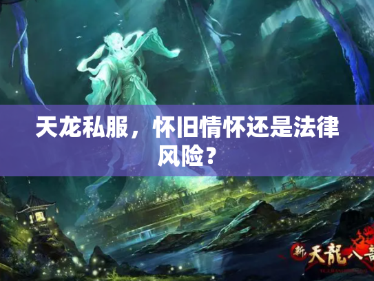 天龙私服，怀旧情怀还是法律风险？