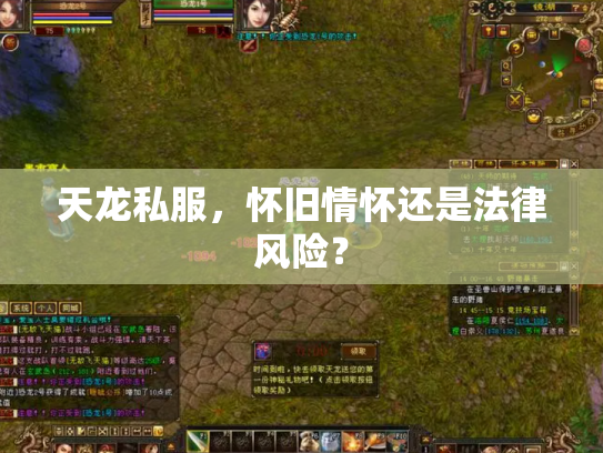 天龙私服，怀旧情怀还是法律风险？