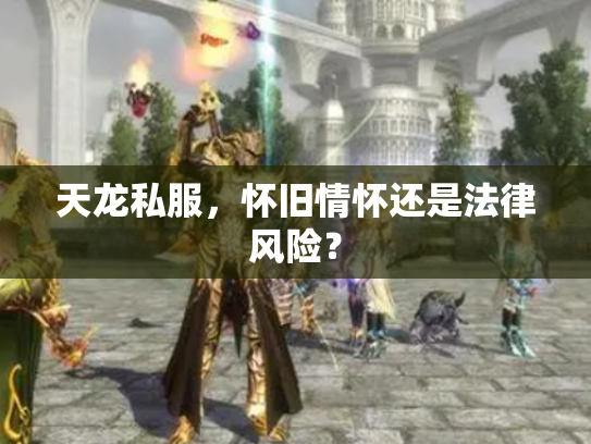 天龙私服，怀旧情怀还是法律风险？