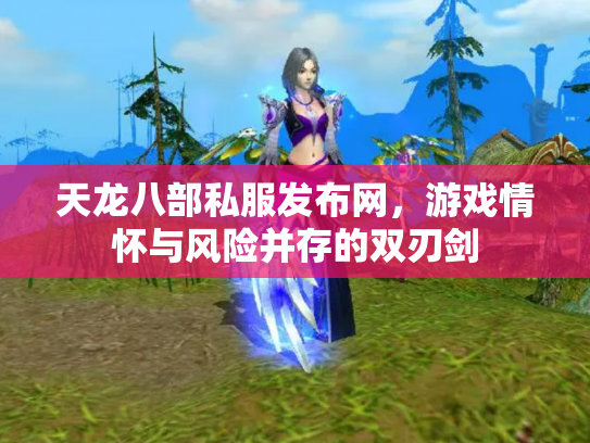 天龙八部私服发布网，游戏情怀与风险并存的双刃剑