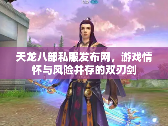 天龙八部私服发布网，游戏情怀与风险并存的双刃剑
