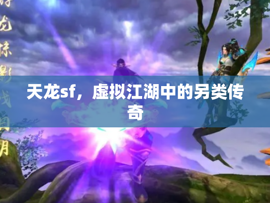 天龙sf，虚拟江湖中的另类传奇