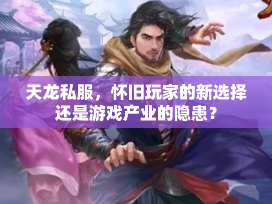 天龙私服，怀旧玩家的新选择还是游戏产业的隐患？