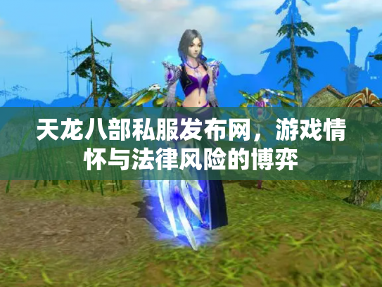 天龙八部私服发布网，游戏情怀与法律风险的博弈