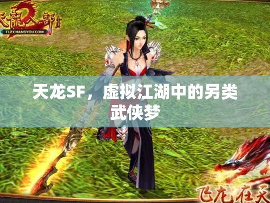 天龙SF，虚拟江湖中的另类武侠梦
