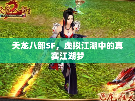 天龙八部SF，虚拟江湖中的真实江湖梦