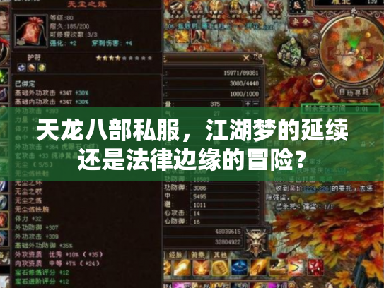 天龙八部私服，江湖梦的延续还是法律边缘的冒险？