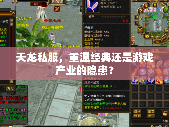 天龙私服，重温经典还是游戏产业的隐患？