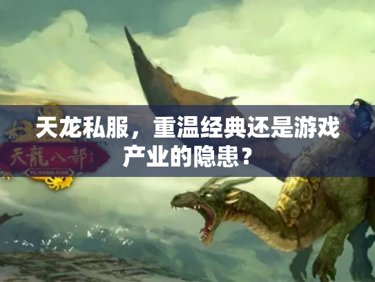 天龙私服，重温经典还是游戏产业的隐患？